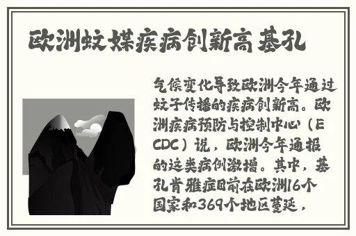 病勤楼栋第2季樱花